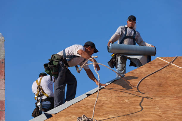 Roof Gutter Cleaning in Colton, CA